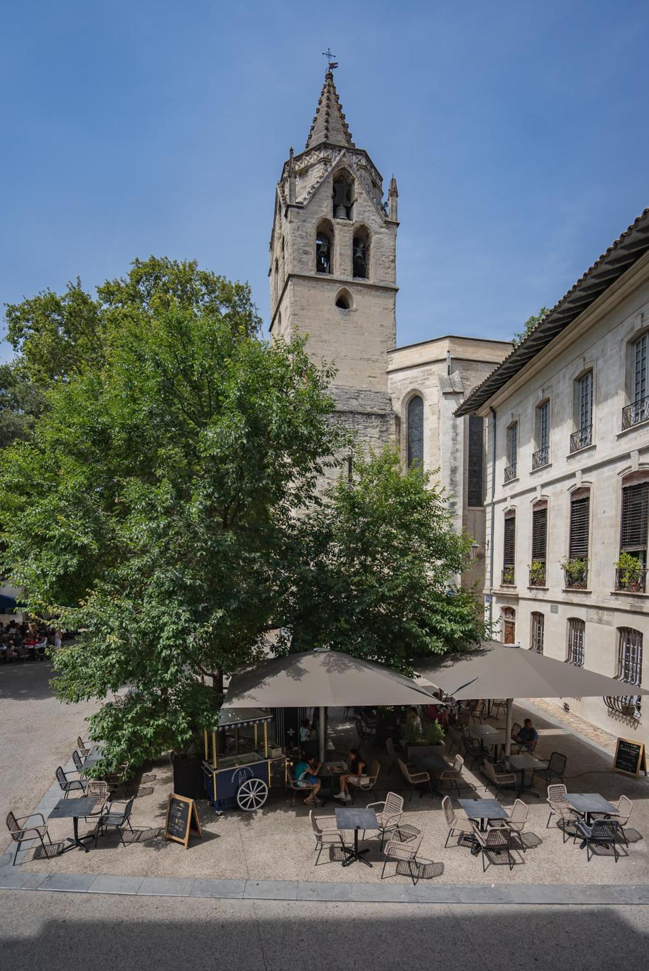 Le Balcon Du Roi Rene Avignon